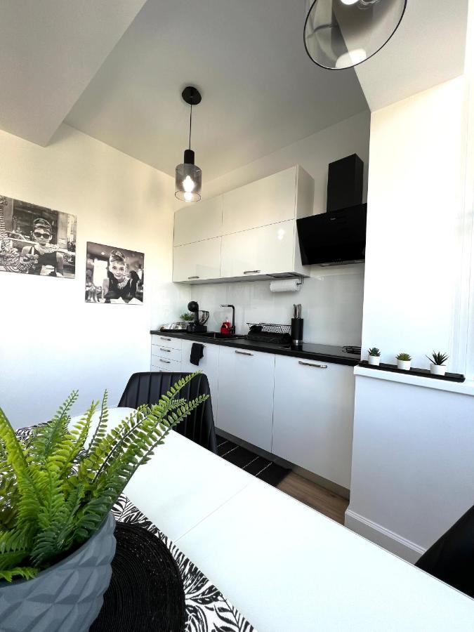 Sky View - Luxury Apartament - Sanador Victoriei 布加勒斯特 外观 照片